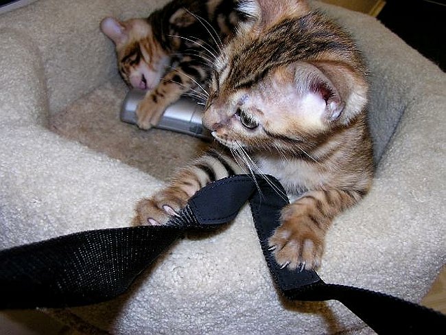 Lance with the camera strap